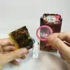 【女性人気コンドーム】グラマラスバタフライ全種まとめレビュー【特徴と口コミ】