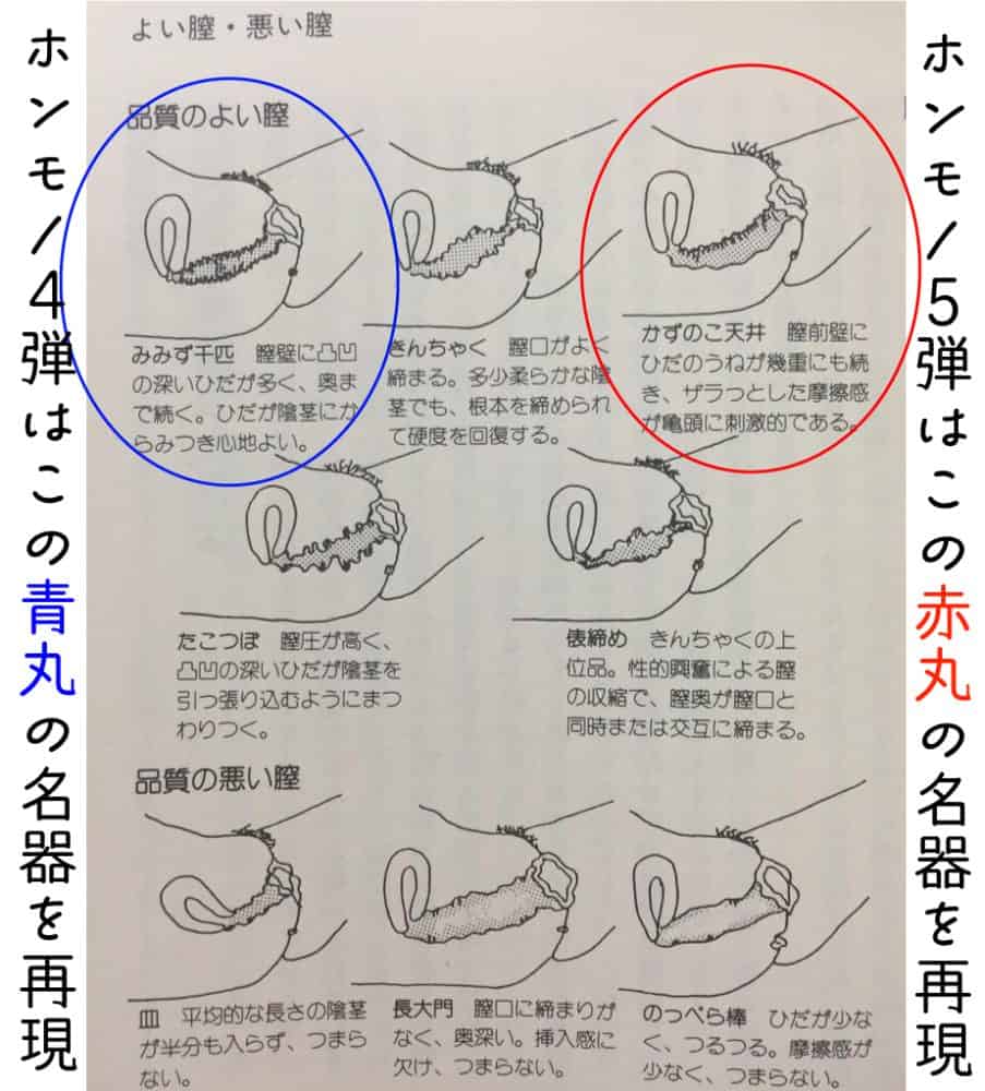 【HON‐MONO全12種レビュー超まとめ】ホンモノオナホシリーズはどれを買う？
