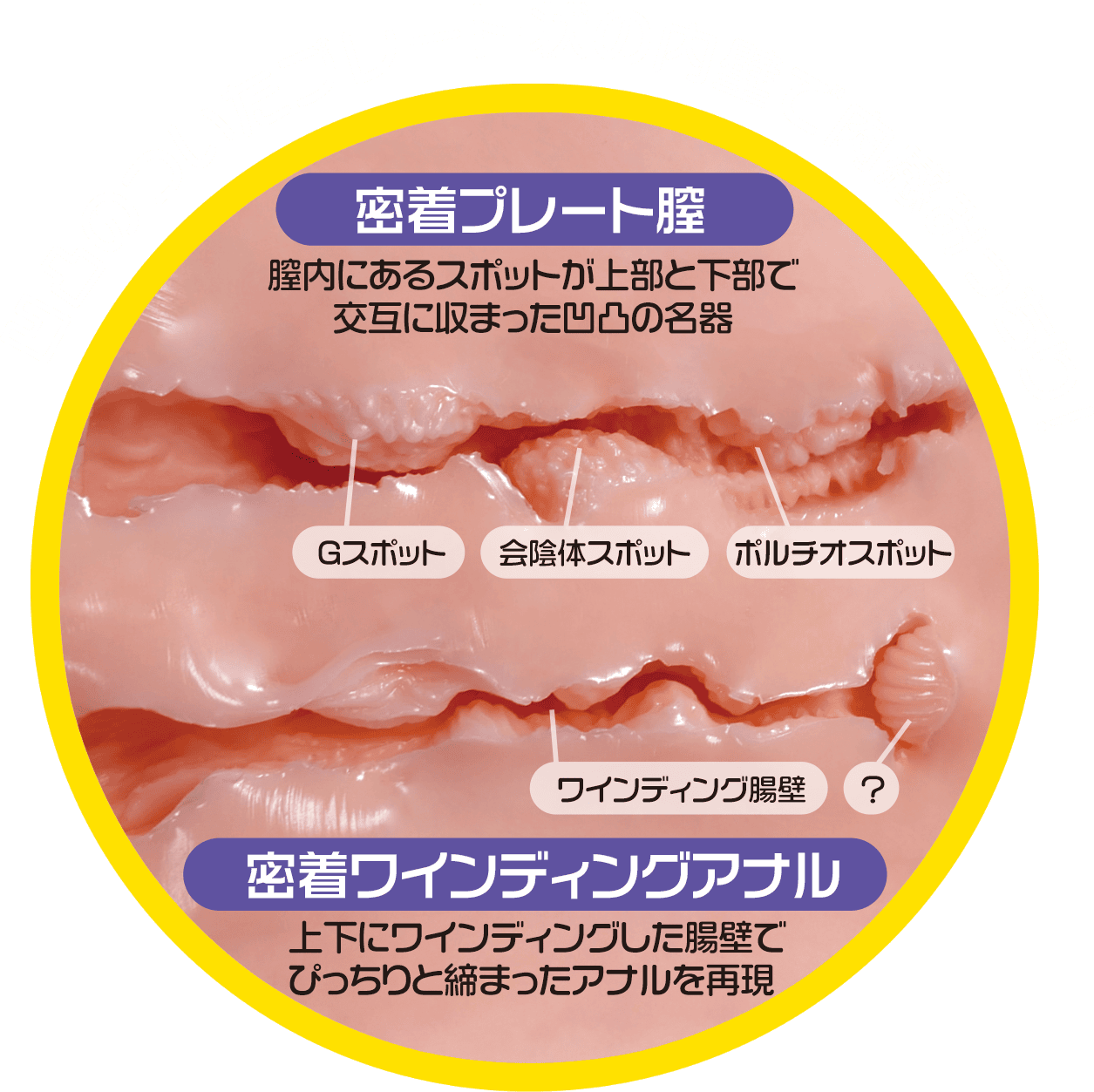 【愛撫ing名器 水野つばきレビュー】4.6kgの軽量化に成功した大型オナホ【使用感はそのままに扱いやすく進化】 【愛撫ing名器 水野つばきレビュー】4.6kgの軽量化に成功した大型オナホ【使用感はそのままに扱いやすく進化】