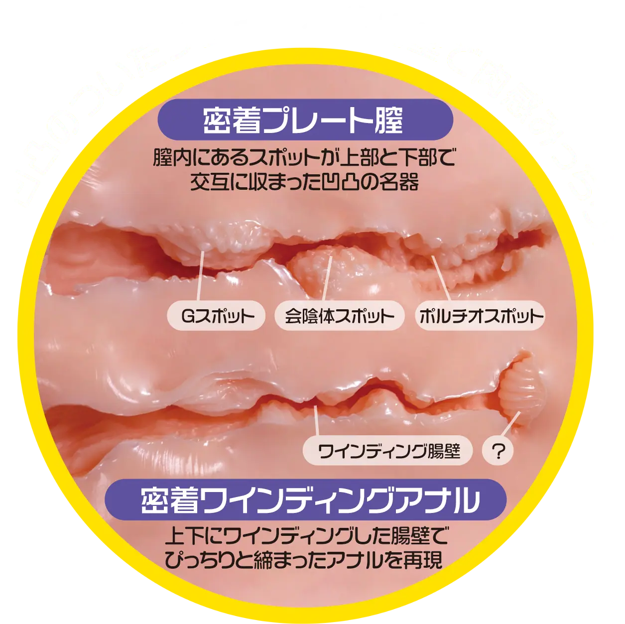 【愛撫ing名器 水野つばきレビュー】4.6kgの軽量化に成功した大型オナホ【使用感はそのままに扱いやすく進化】 【愛撫ing名器 水野つばきレビュー】4.6kgの軽量化に成功した大型オナホ【使用感はそのままに扱いやすく進化】