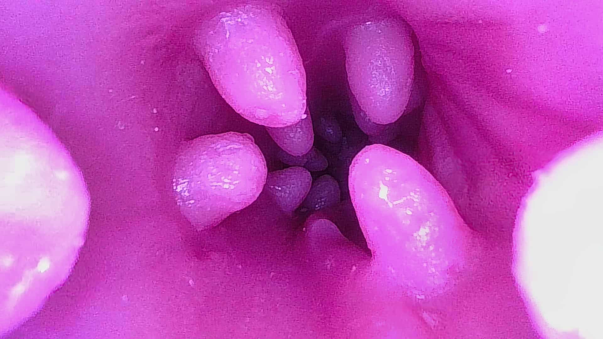 【シリコンドールに手を出してみよう】TPE素材オナホールとの違いを検証～膣の自動洗浄乾燥機を添えて～
