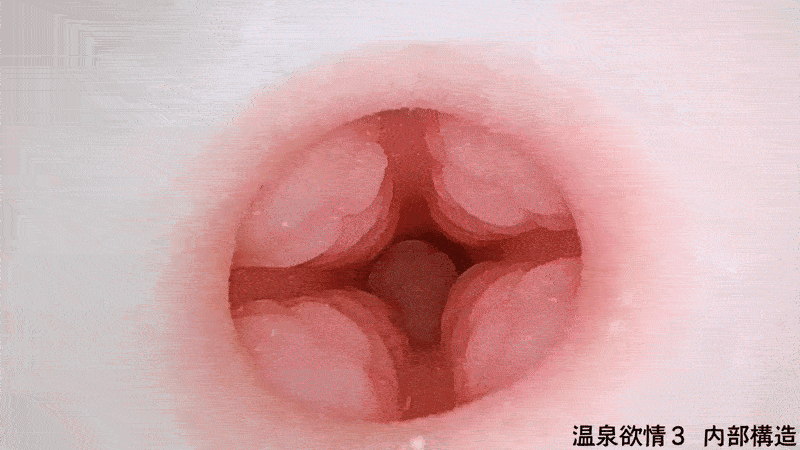 温泉欲情3が本気すぎる件｜5年ぶりの待望作‣温泉欲情1･2と同時使用比較レビューしたらヤバかった