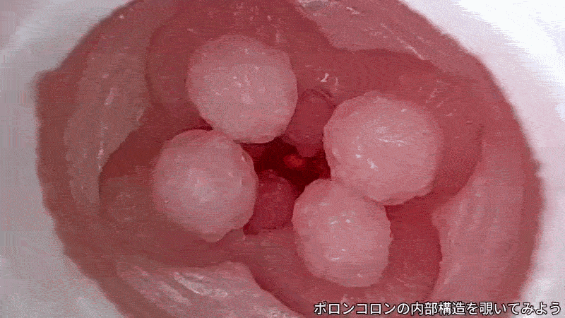 桜と、イボと、ボクシングスピードボールと、僕とで、ポロンコロン。