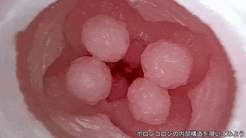 桜と、イボと、ボクシングスピードボールと、僕とで、ポロンコロン。