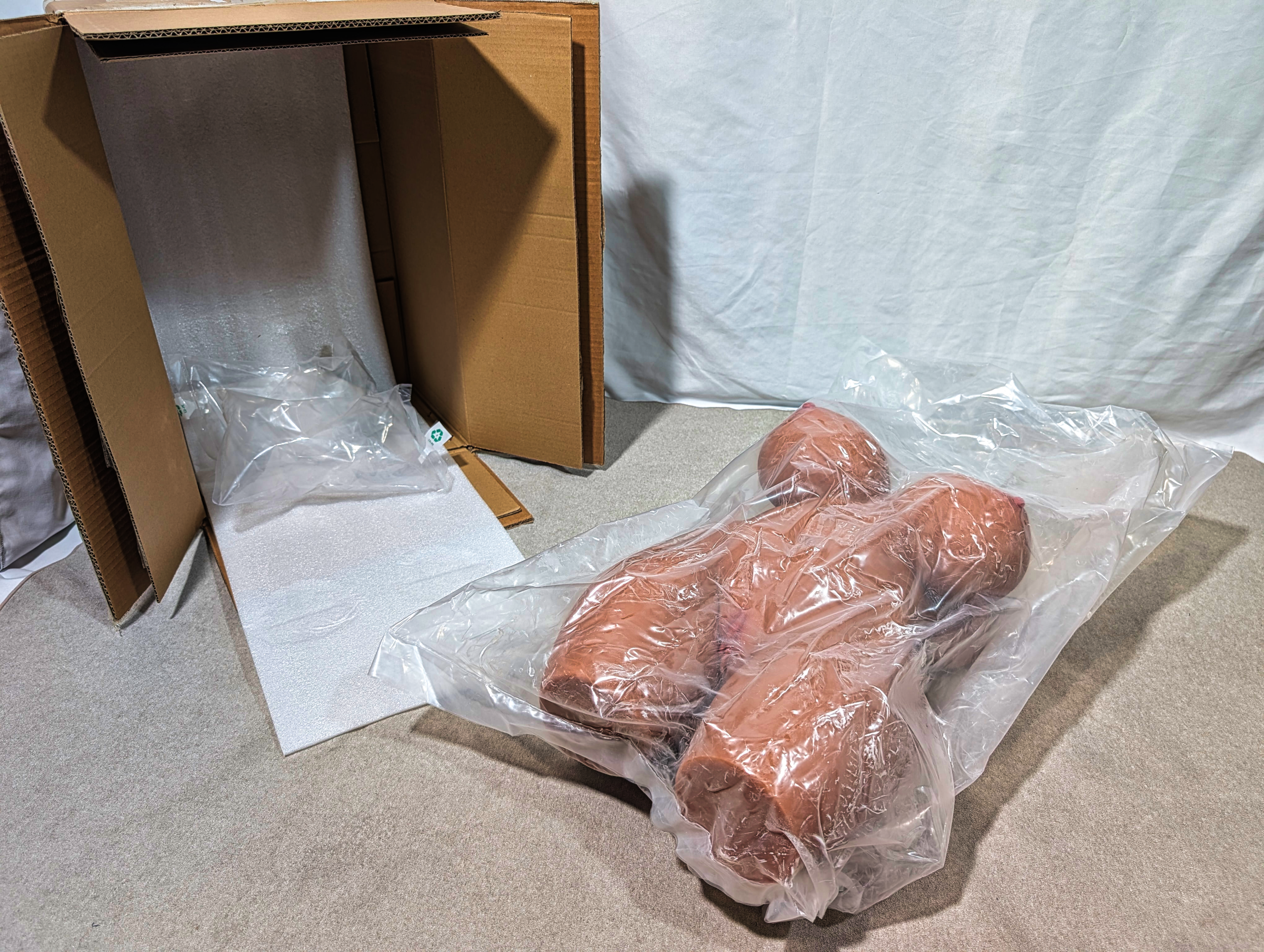 肉食ギャル15.8kg｜ 褐色系トルソーの肉身感でこれ以上の完成度は少なかろうて
