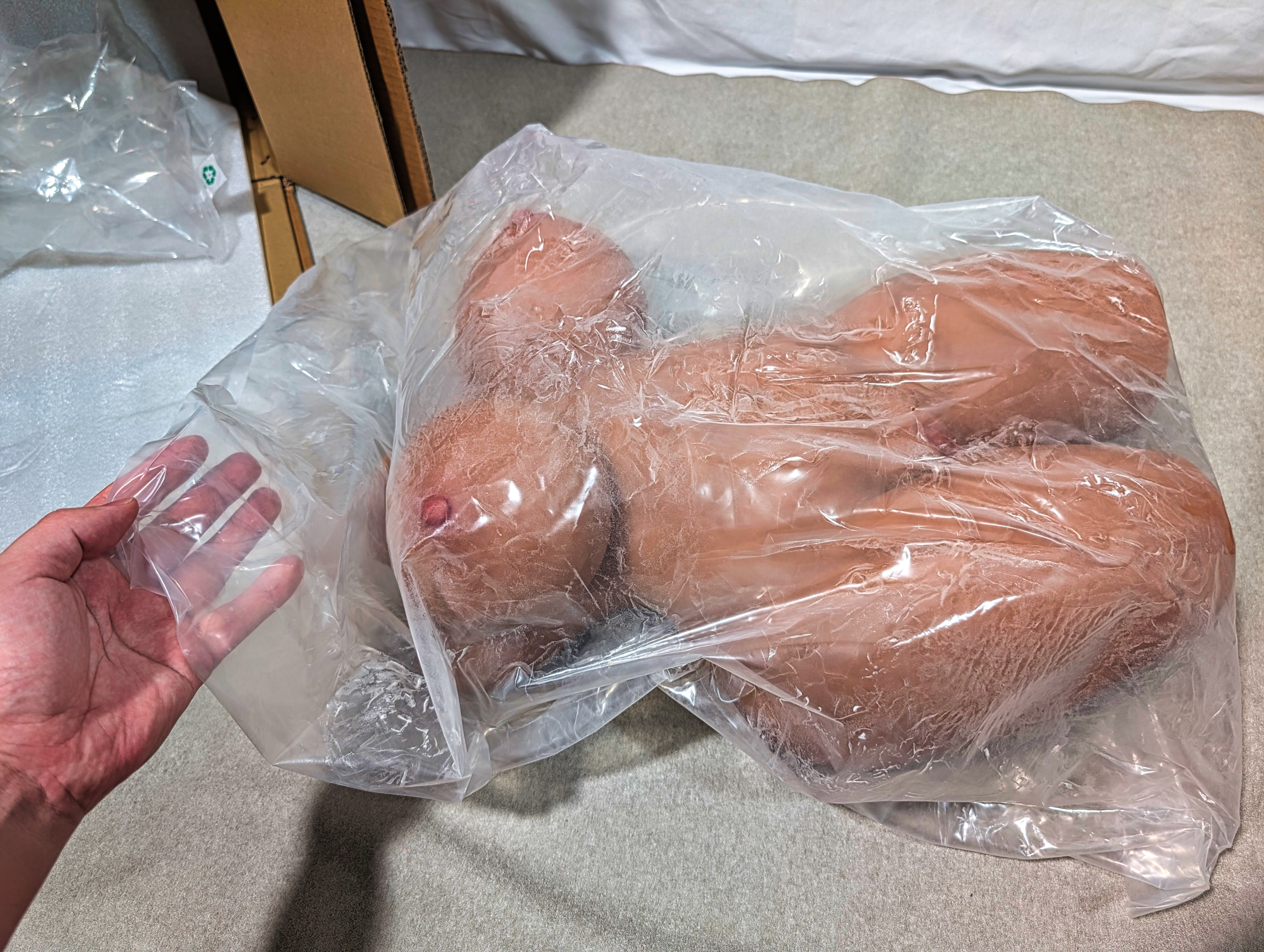 肉食ギャル15.8kg｜ 褐色系トルソーの肉身感でこれ以上の完成度は少なかろうて