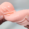 濃厚うねひだ｜亀頭をいじめるヒダ感のショートピストンで光るオナホール