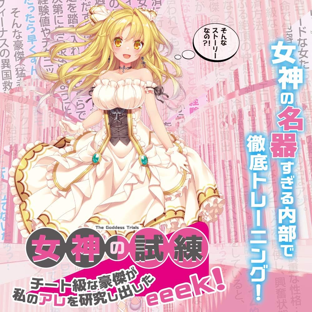 女神の試練