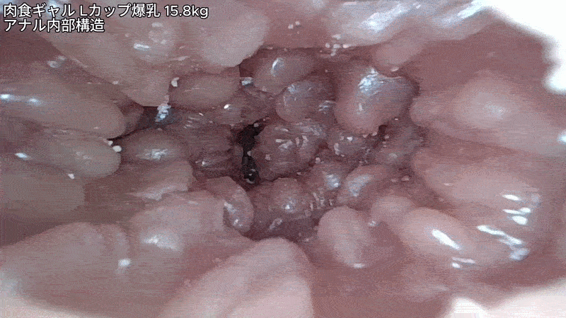 肉食ギャル Lカップ｜ 褐色系トルソー15kg級の当たり枠を引いたから共有しておこうと思う