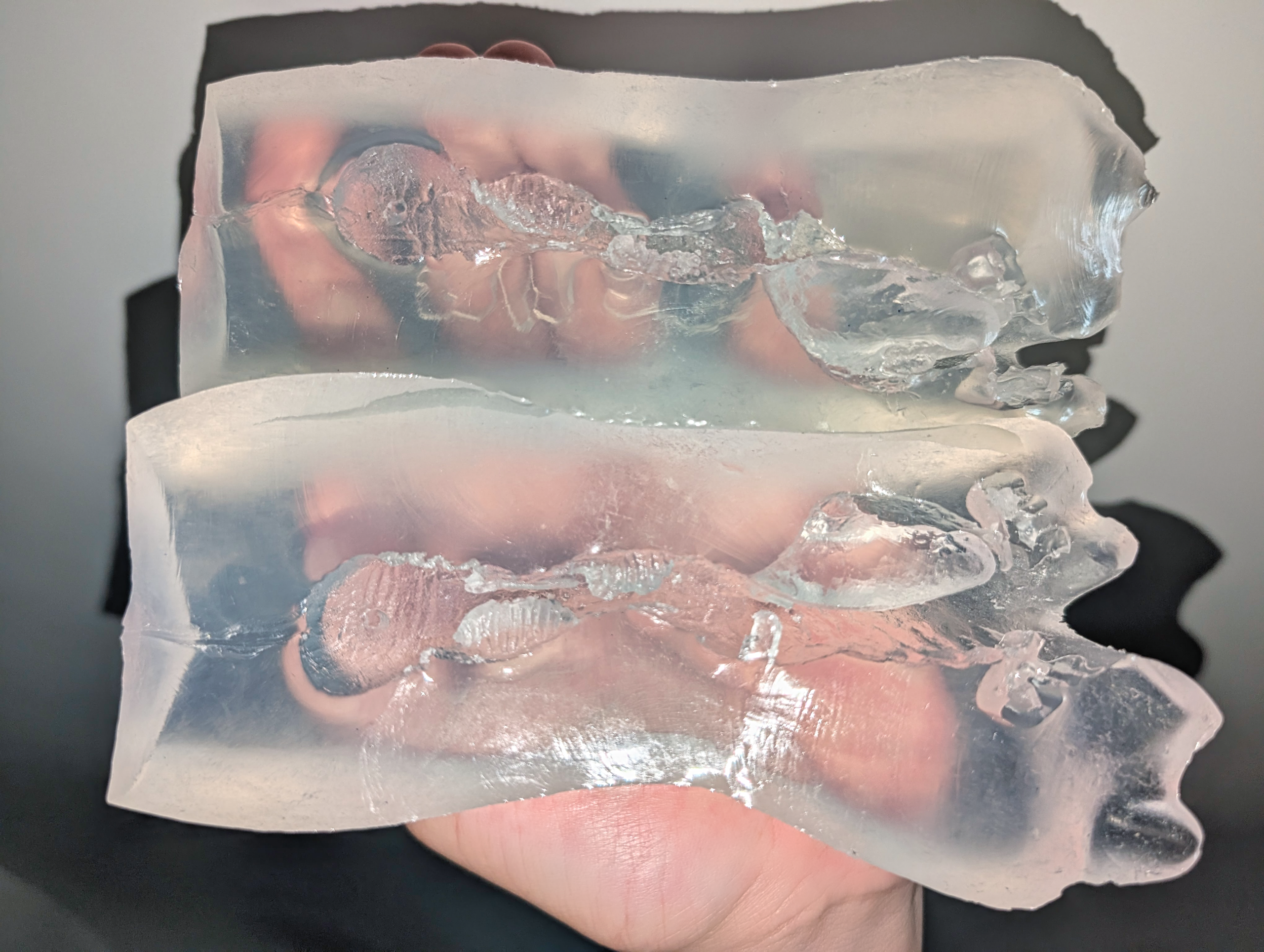 裏・真実の口 ～レントゲン～｜透明ボディの恩恵は、歯付きフェラ型オナホの特権か……